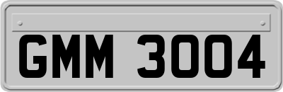 GMM3004