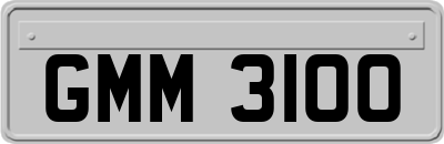 GMM3100