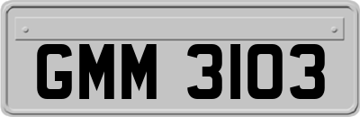 GMM3103