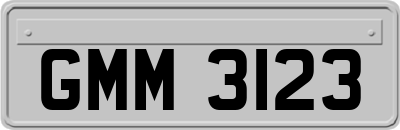 GMM3123