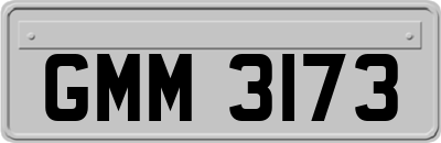 GMM3173