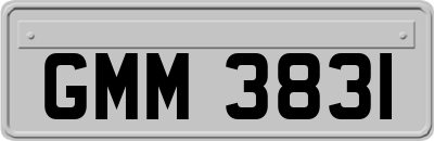 GMM3831