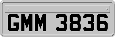 GMM3836
