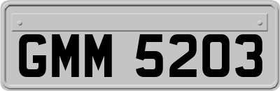 GMM5203