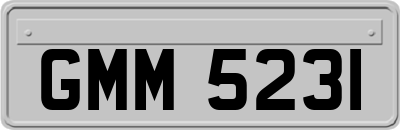 GMM5231