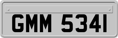 GMM5341