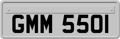 GMM5501