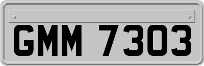 GMM7303