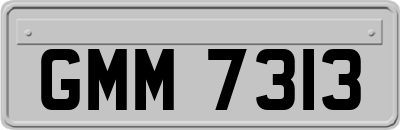 GMM7313