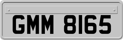 GMM8165
