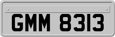 GMM8313