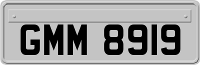 GMM8919