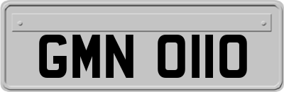 GMN0110