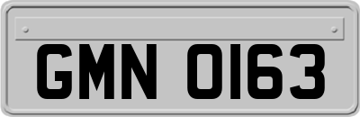 GMN0163