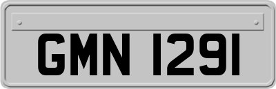 GMN1291