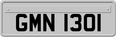 GMN1301