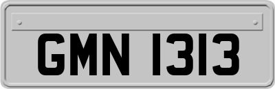 GMN1313