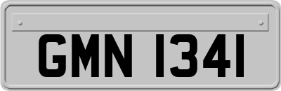 GMN1341