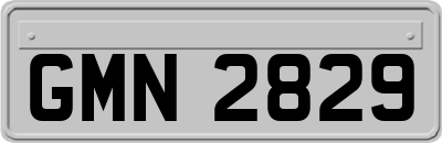 GMN2829