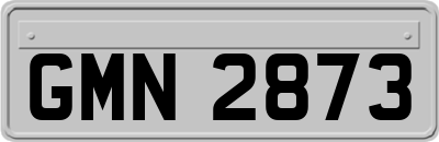 GMN2873