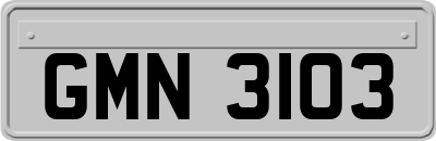GMN3103