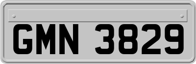 GMN3829
