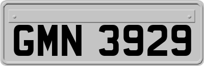 GMN3929