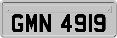 GMN4919