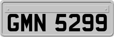 GMN5299