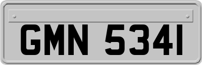 GMN5341