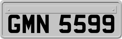 GMN5599