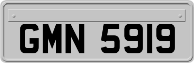 GMN5919