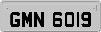 GMN6019