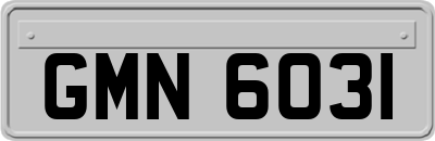 GMN6031