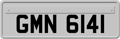 GMN6141