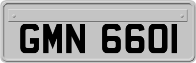 GMN6601