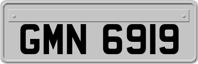 GMN6919