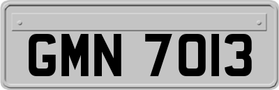 GMN7013