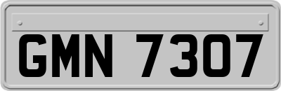 GMN7307
