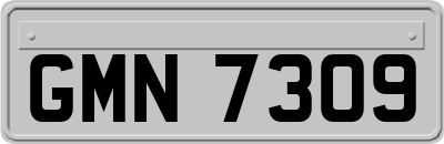 GMN7309