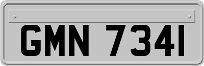 GMN7341