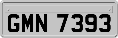 GMN7393
