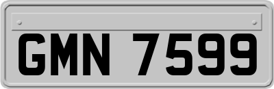 GMN7599