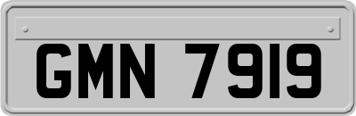 GMN7919