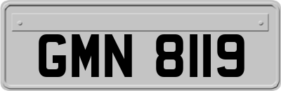 GMN8119