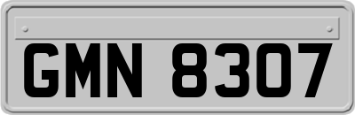 GMN8307