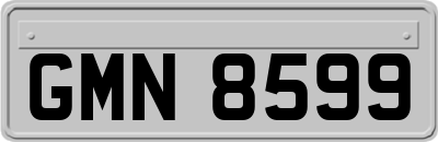 GMN8599