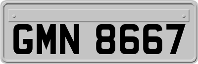 GMN8667