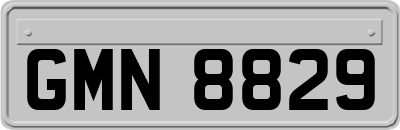 GMN8829