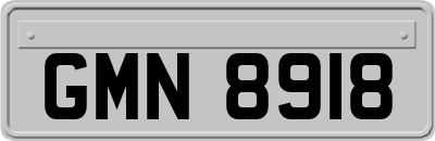 GMN8918